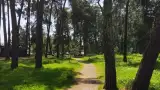 Гостевой дом «Золотая рыбка», п. Лдзаа